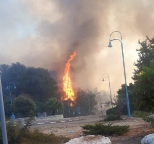 תושבי שלומי מול הסכם הפסקת האש: "לא נחזור בלי ביטחון מוחלט" - שלומי אונליין